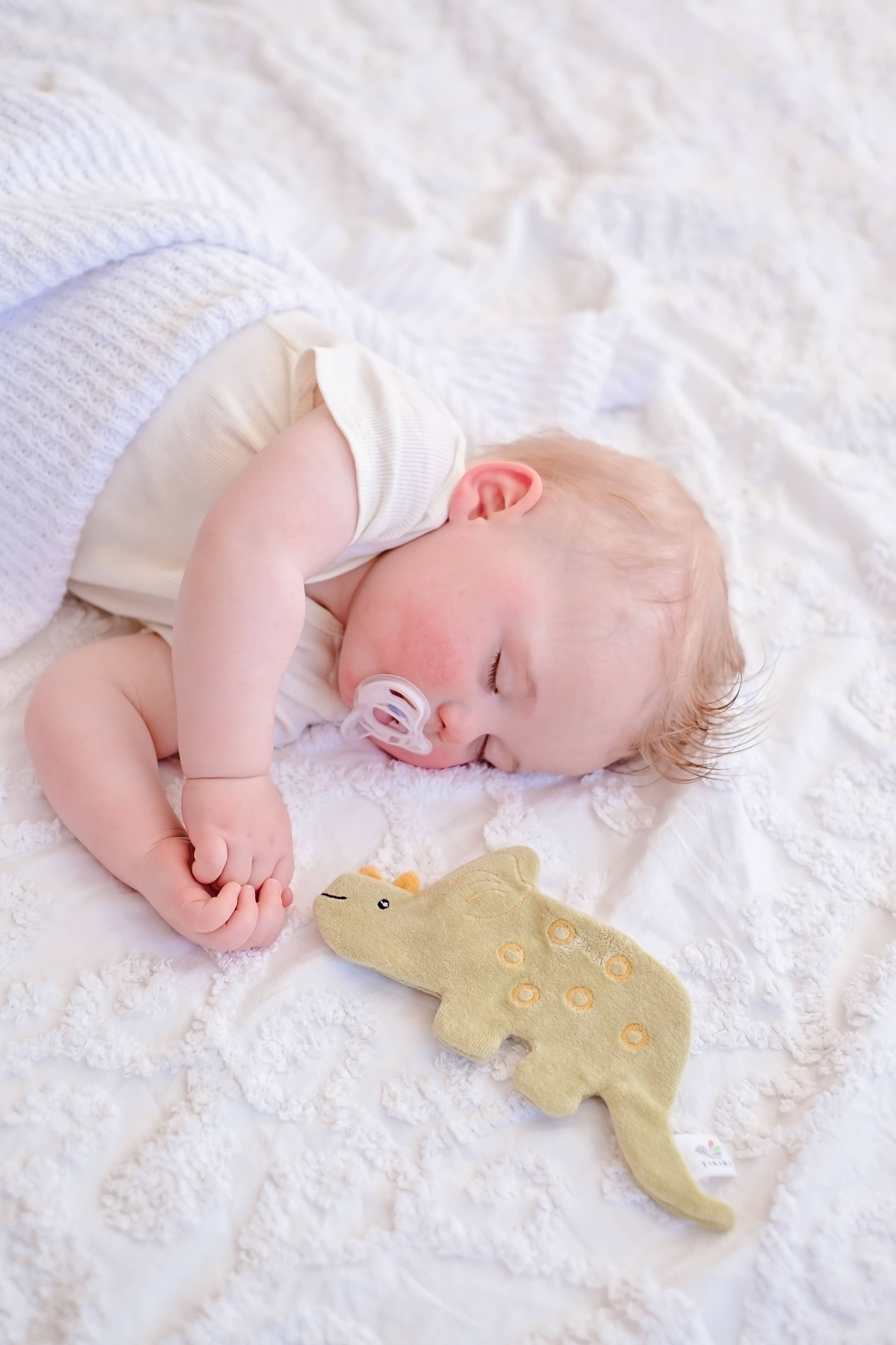 Triceratops Organic Crinkle Toy