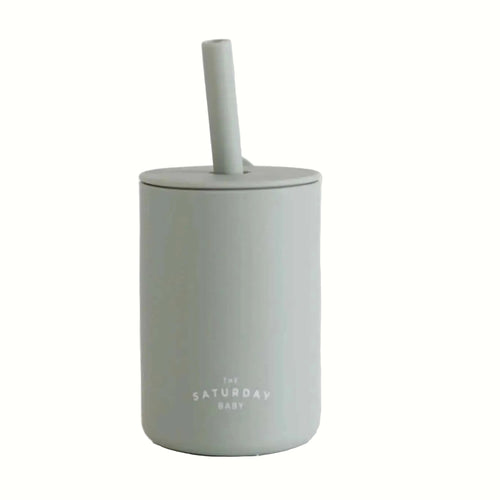 Baby/Toddler Silicone Straw Cup