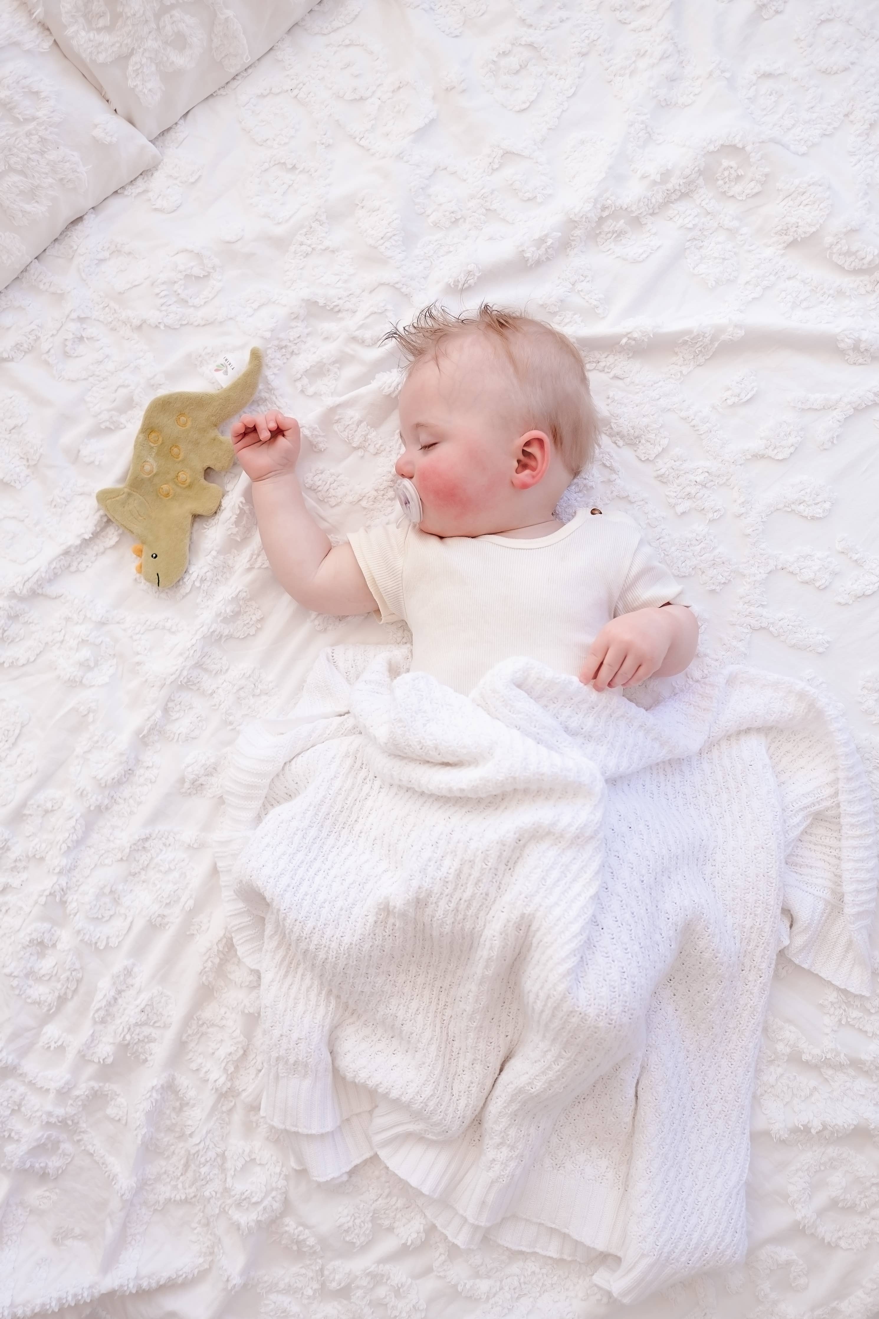 Triceratops Organic Crinkle Toy