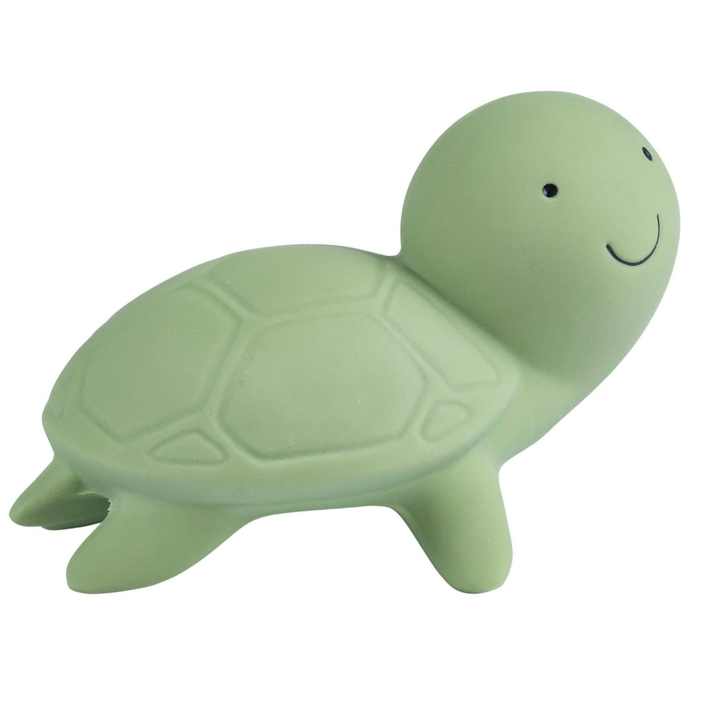 Organic Rubber Turtle Teether, Rattle & Bath Toy