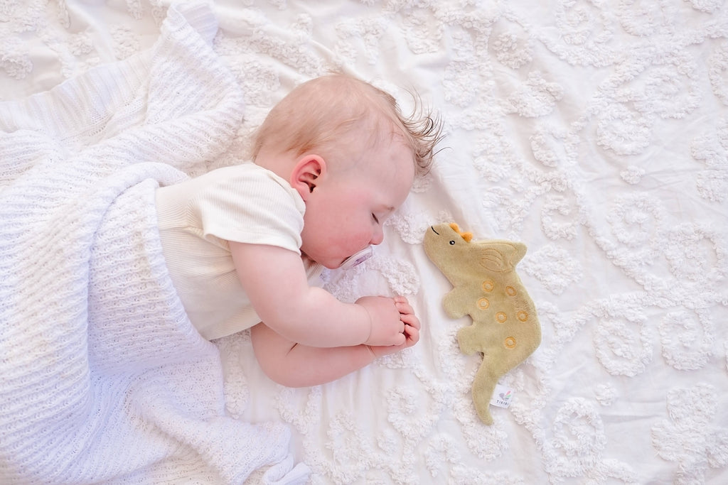 Triceratops Organic Crinkle Toy